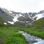 Bowl. Photo by Ross Timm.