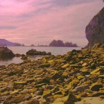 Cove. Photo by Patricia Baum.