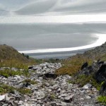 Avalanche chute. Photo by Paul Koecher.