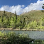 View of Peter's Creek and the surrounding mountains in the summer