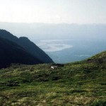 Picnic Table. Photo by Ross Timm.