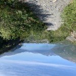 Looking back down the trail overlooking Whittier
