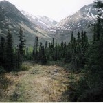 Peter's Creek Drainage. Photo by Jerry Richardson.