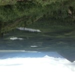 View from near the mine