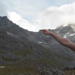Pass to Bomber. Photo by Tim Gamble.