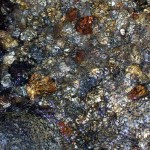 Spring. Photo by Travis Minsch.