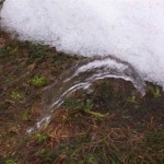 Spring. Photo by Travis Minsch.