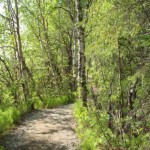 Photo by Christina Rick