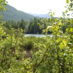 Photo by Christina Rick