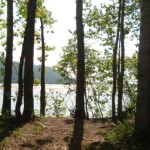 Photo by Christina Rick