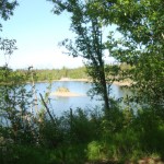 Photo by Christina Rick