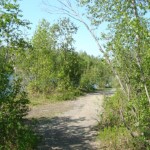 Photo by Christina Rick