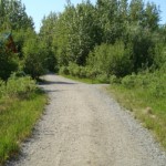 Photo by Christina Rick