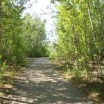 Photo by Christina Rick