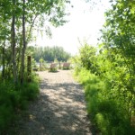 Photo by Christina Rick