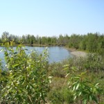 Photo by Christina Rick