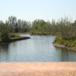 Photo by Christina Rick