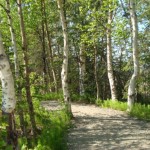 Photo by Christina Rick