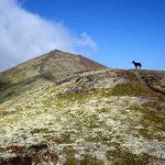 Ridge line to summit