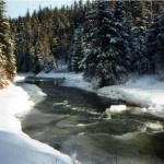 Frozen creek in winter