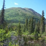 Sterling side of trail