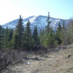 West view from Fox Creek cabin.