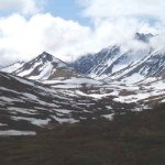 Spine. Photo by Paul 'Kegger' Koecher.