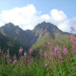 East Twin scenic. Photo by Frank Baker.