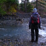 Creek trail. Photo by Blain Anderson.