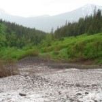 Avalanche. Photo by Egore's Keepers.