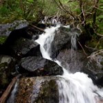 Waterfall. Photo by Turner Vail.