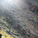 Scree slope. Photo by William Mohn.