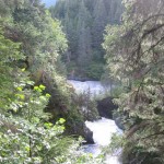 Creek. Photo by Jacob and April Champness.