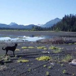 Tidal flats at the trailhead